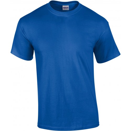 GI2000 BLEU ROI