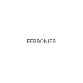 Ferronier