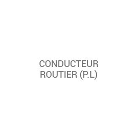 Conducteur Routier (P.L)