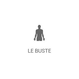 Le buste